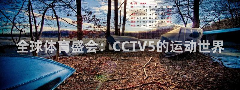 全球体育盛会：CCTV5的运动世界