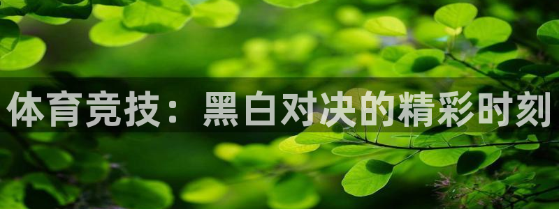 体育竞技：黑白对决的精彩时刻