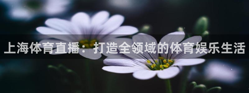 上海体育直播：打造全领域的体育娱乐生活