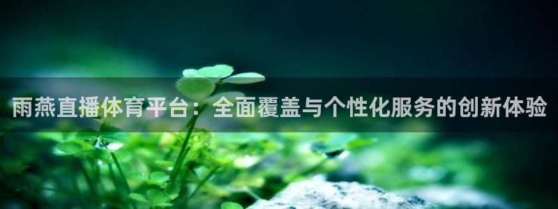 雨燕直播体育平台：全面覆盖与个性化服务的创新体验