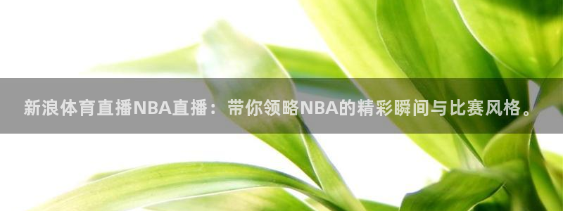 新浪体育直播NBA直播：带你领略NBA的精彩瞬间与比赛风格。