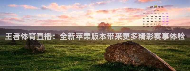 王者体育直播：全新苹果版本带来更多精彩赛事体验