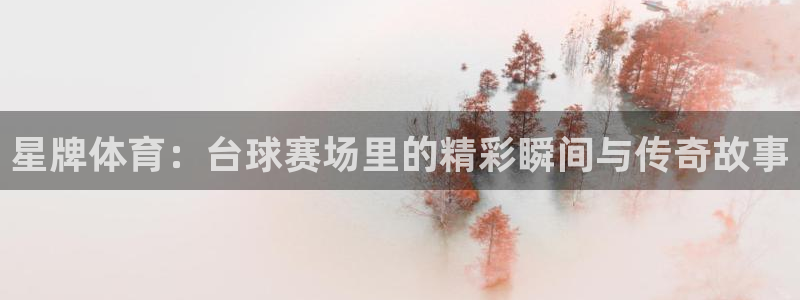 星牌体育：台球赛场里的精彩瞬间与传奇故事