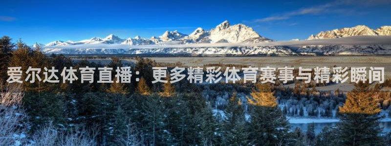 爱尔达体育直播：更多精彩体育赛事与精彩瞬间
