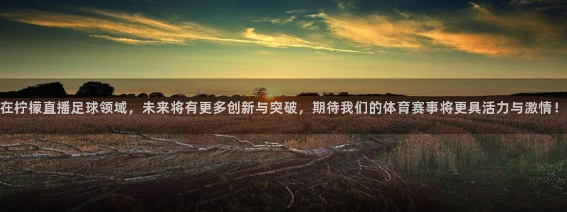 在柠檬直播足球领域，未来将有更多创新与突破，期待我们的体育赛事将更具活力与激情！
