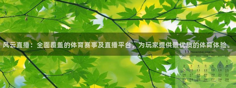 风云直播：全面覆盖的体育赛事及直播平台，为玩家提供最优质的体育体验。