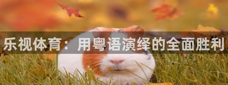 乐视体育：用粤语演绎的全面胜利