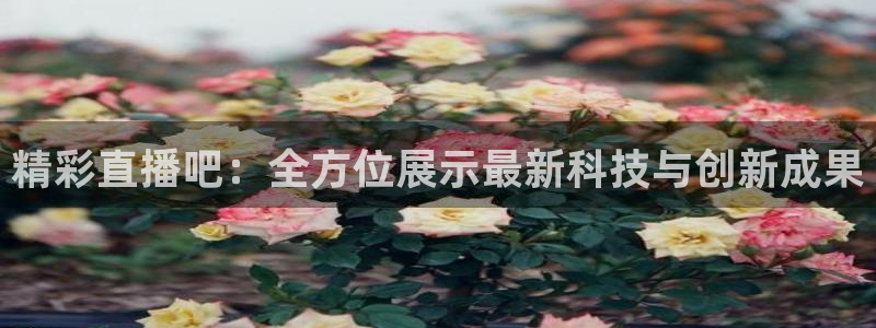 精彩直播吧：全方位展示最新科技与创新成果