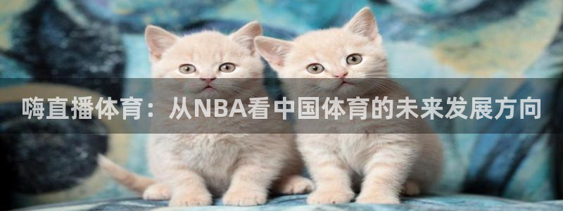 嗨直播体育：从NBA看中国体育的未来发展方向