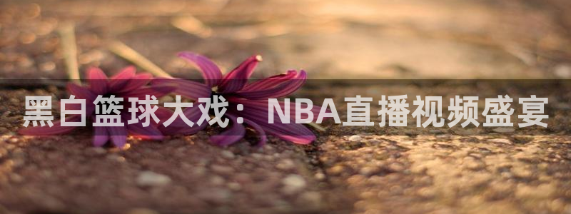 黑白篮球大戏：NBA直播视频盛宴
