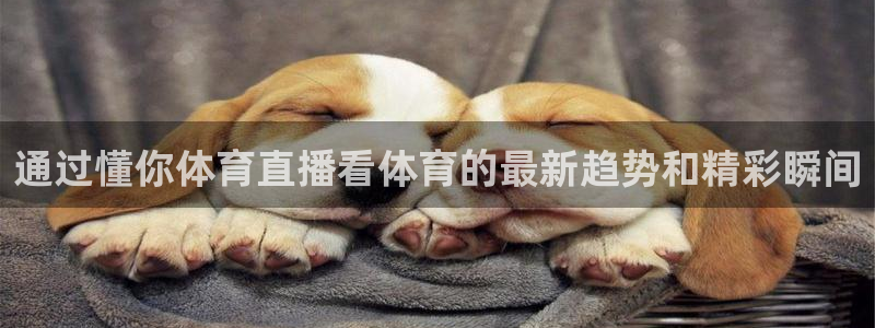 通过懂你体育直播看体育的最新趋势和精彩瞬间