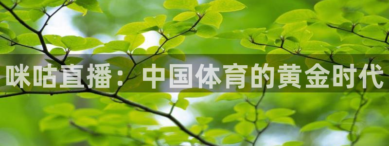咪咕直播：中国体育的黄金时代