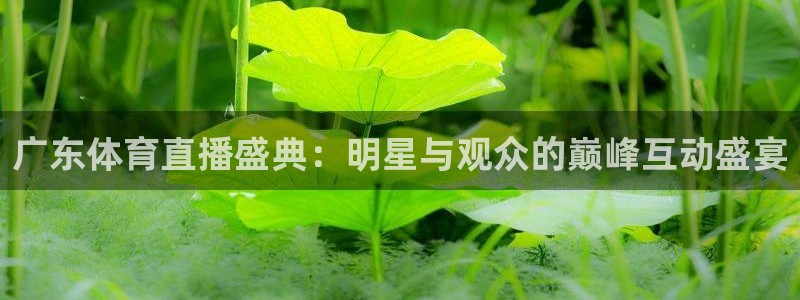 广东体育直播盛典：明星与观众的巅峰互动盛宴