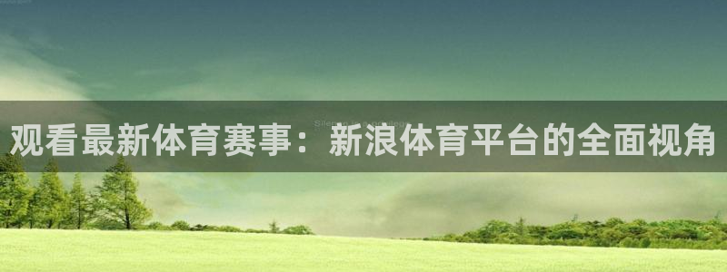 观看最新体育赛事：新浪体育平台的全面视角