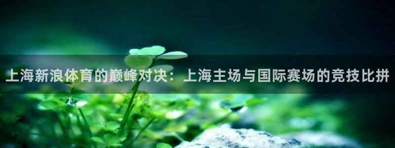 上海新浪体育的巅峰对决：上海主场与国际赛场的竞技比拼