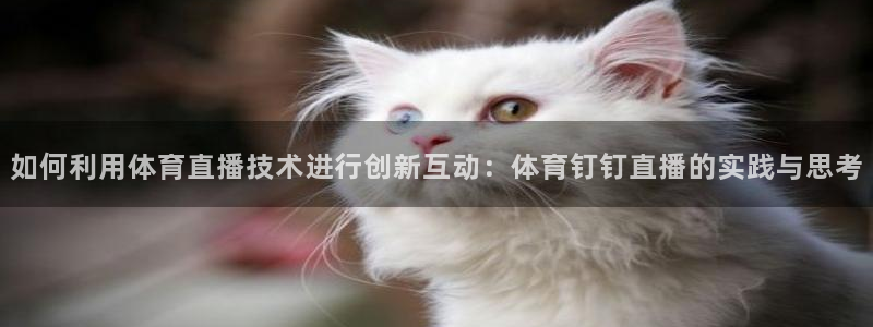 如何利用体育直播技术进行创新互动：体育钉钉直播的实践与思考