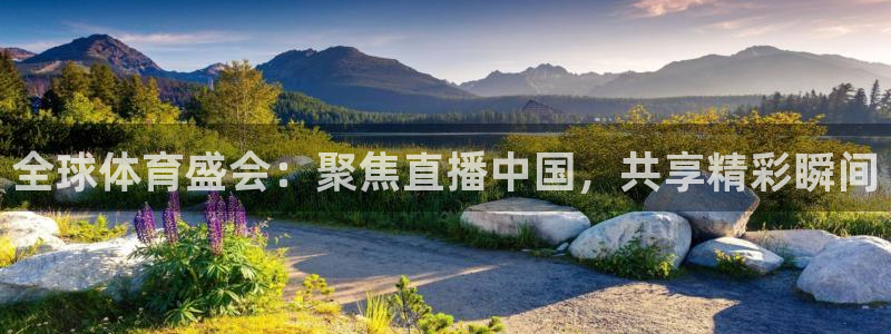 全球体育盛会：聚焦直播中国，共享精彩瞬间