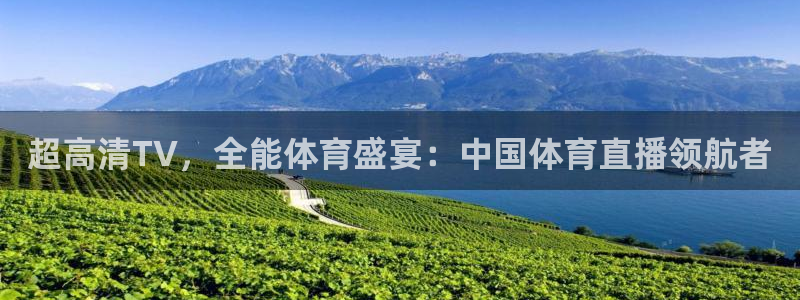 超高清TV，全能体育盛宴：中国体育直播领航者