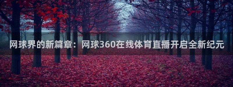 网球界的新篇章：网球360在线体育直播开启全新纪元