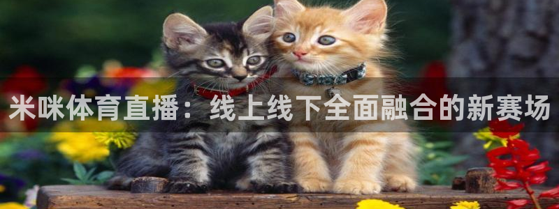 米咪体育直播：线上线下全面融合的新赛场