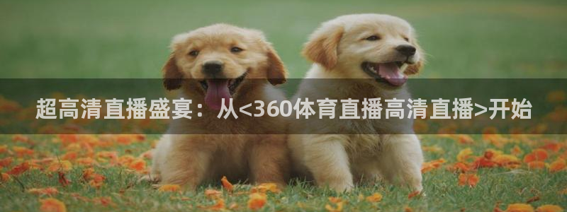 超高清直播盛宴：从<360体育直播高清直播>开始