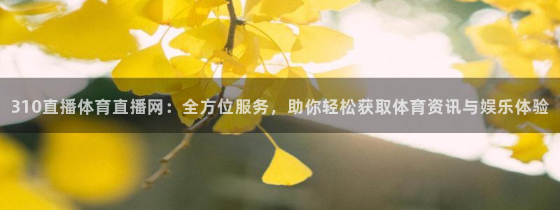 310直播体育直播网：全方位服务，助你轻松获取体育资讯与娱乐体验