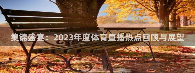 集锦盛宴：2023年度体育直播热点回顾与展望
