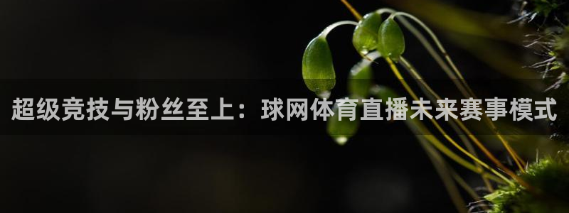 超级竞技与粉丝至上：球网体育直播未来赛事模式