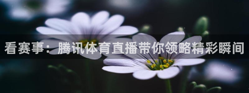 看赛事：腾讯体育直播带你领略精彩瞬间
