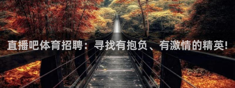 直播吧体育招聘：寻找有抱负、有激情的精英!