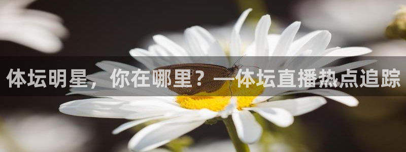 体坛明星，你在哪里？—体坛直播热点追踪
