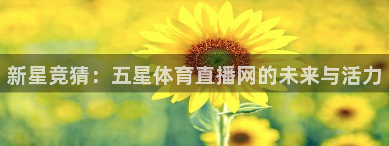 新星竞猜：五星体育直播网的未来与活力