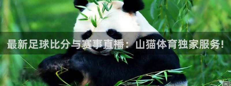 最新足球比分与赛事直播：山猫体育独家服务!