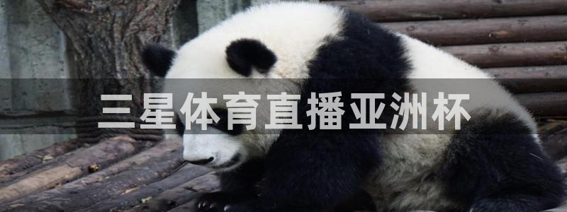 三星体育直播亚洲杯