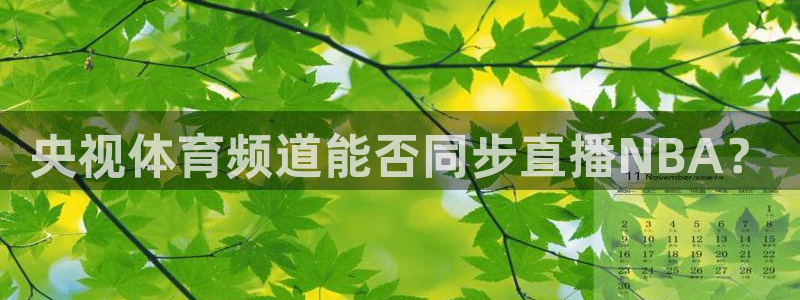 央视体育频道能否同步直播NBA？