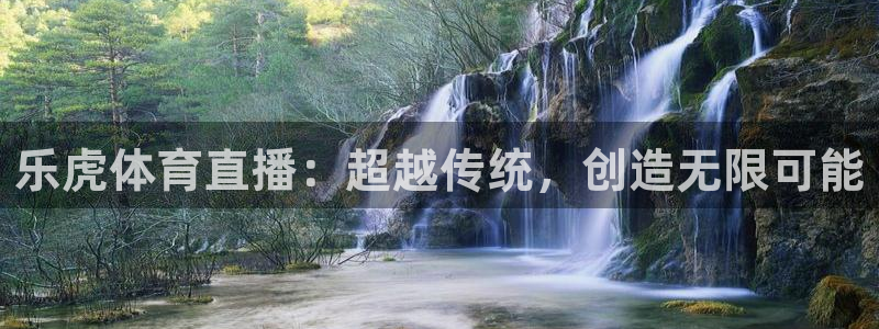 乐虎体育直播：超越传统，创造无限可能