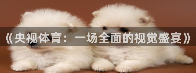 《央视体育：一场全面的视觉盛宴》